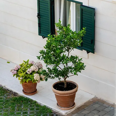 Kogo شقة هفار