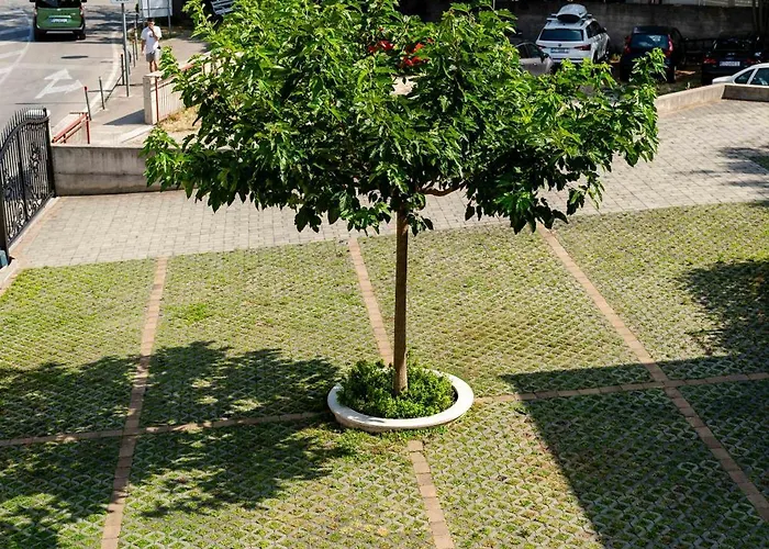 아파트 Kogo 흐바르