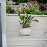 Kogo * Hvar Town