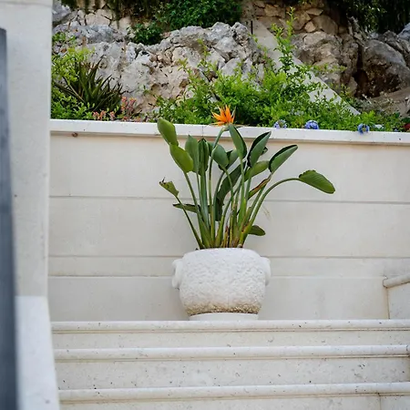 Kogo * Hvar Town