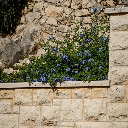 Διαμέρισμα Kogo *