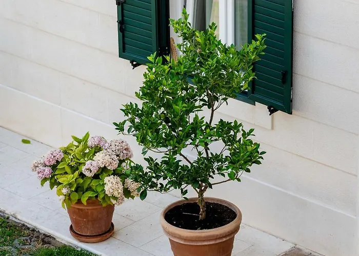 Kogo Apartment Hvar Town